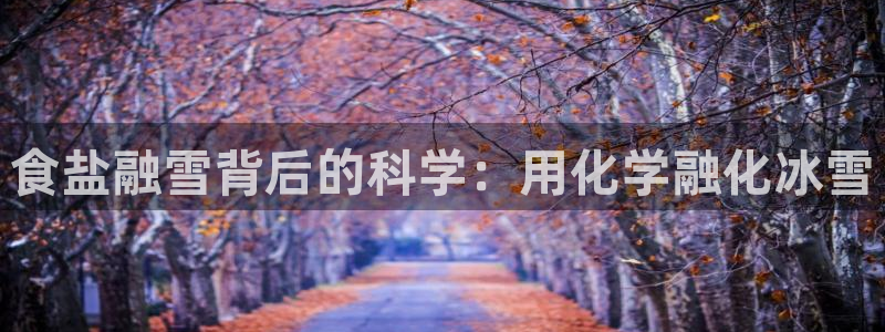 威九国际APP大全