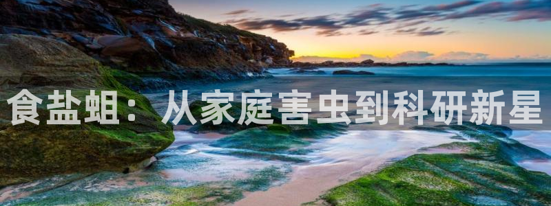 威九国际清砖码头怎么样