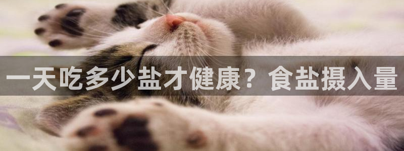威九国际提款不出来
