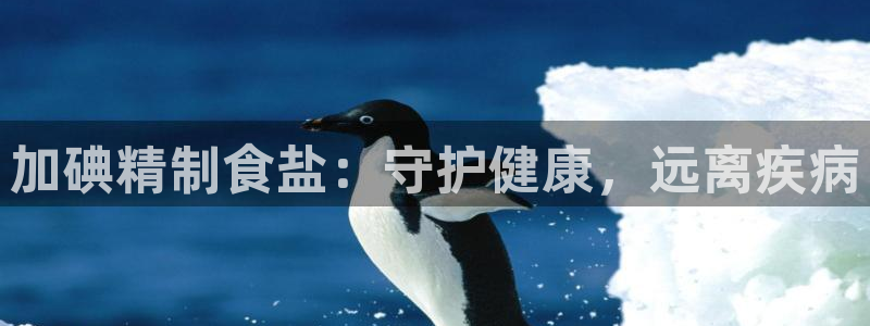 威九国际网站是多少