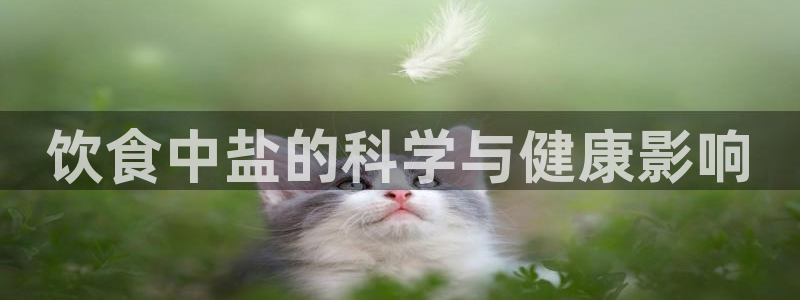 威九国际旗下艺人都有谁