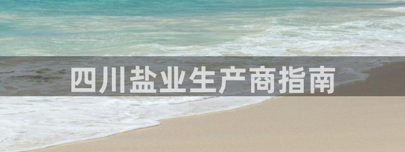 威九国际ppt免费