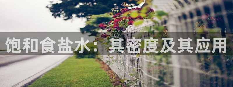 威九国际ppt免费下载