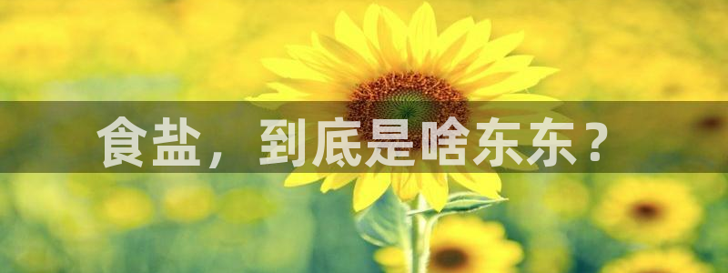 威九国际空降