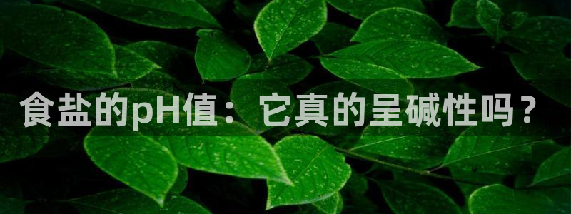 威九国际坑人的嘛