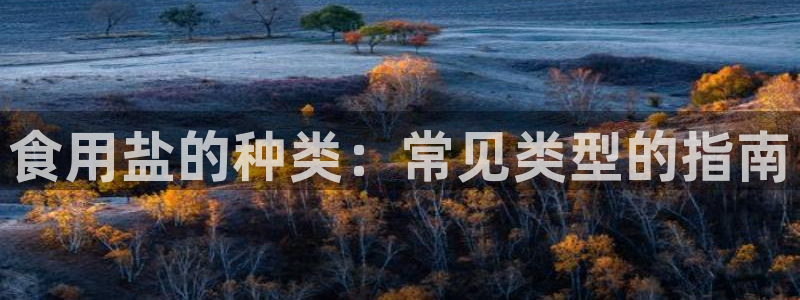 78mppt威九国际