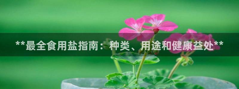威九国际66m66官网