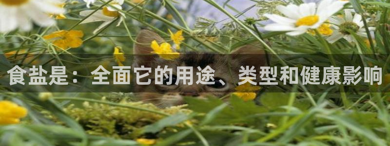 威九国际网站影视
