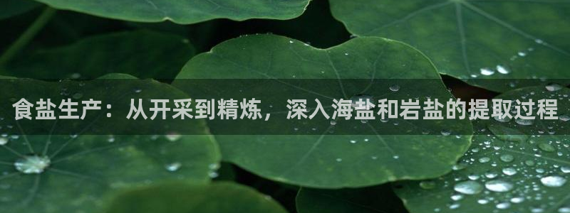 威九国际娜娜