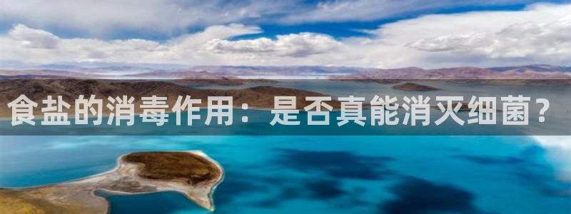 威九国际图片