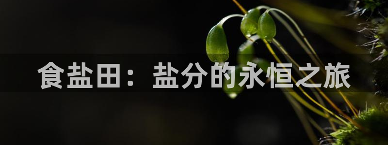 威九国际取款不到账