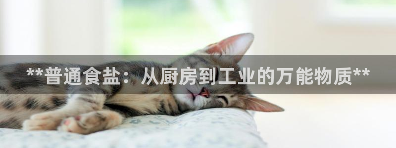 威九国际app网站官网