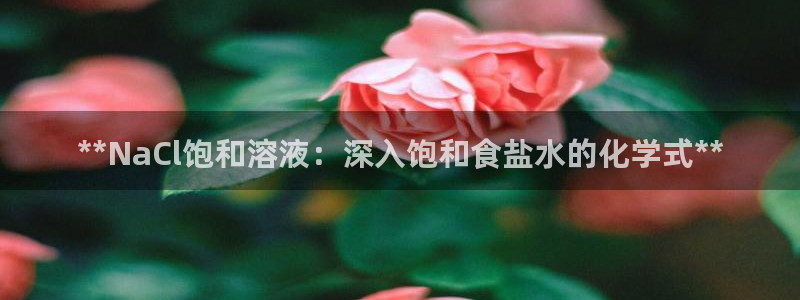 保定威九网络科技有限公司招聘