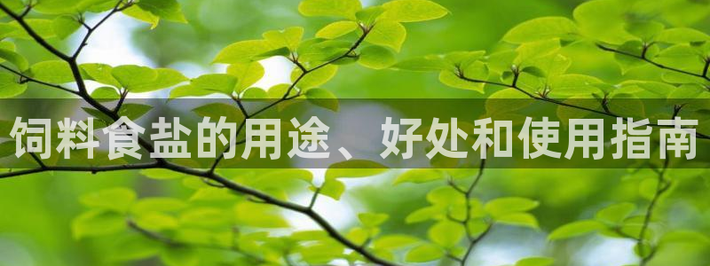 威九国际在哪里