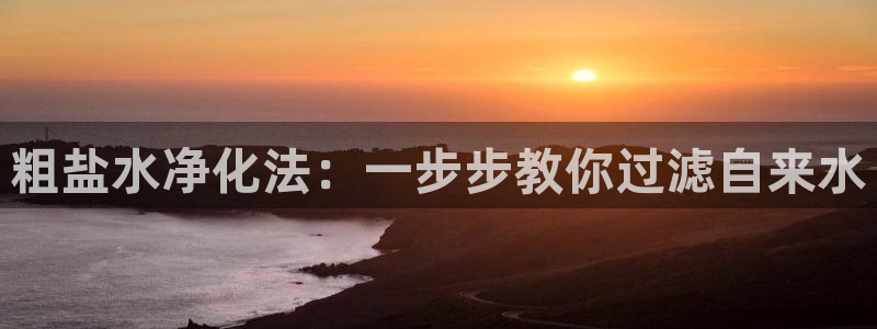 威九国际精