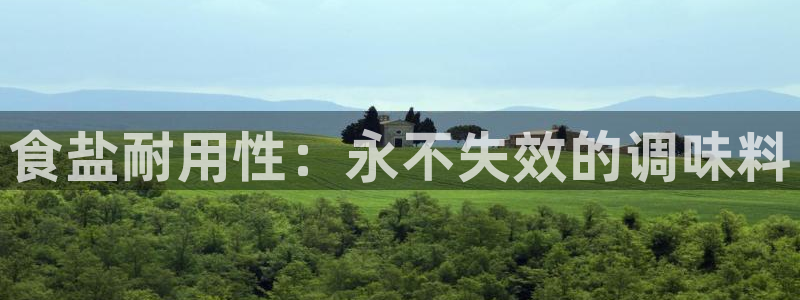 威九国际66m免费下载