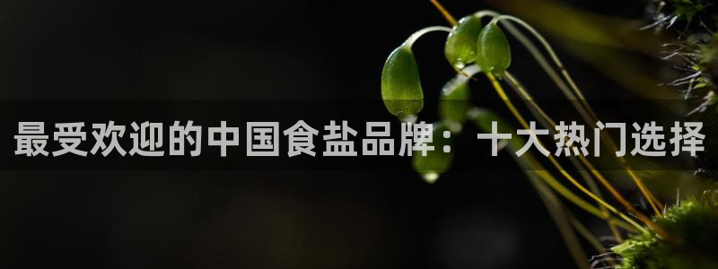 78mapp威九国际