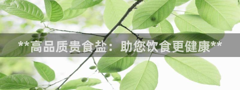 威九国际精彩推荐