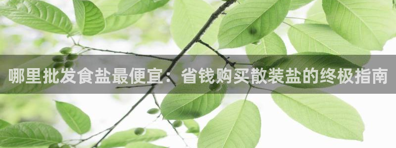 威九国际官网在线进入网站查询网址