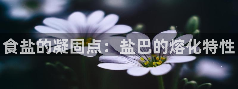威九国际78m域名