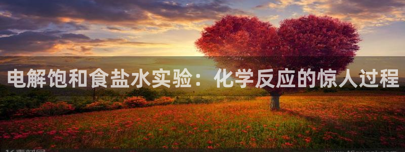 威九国际v9