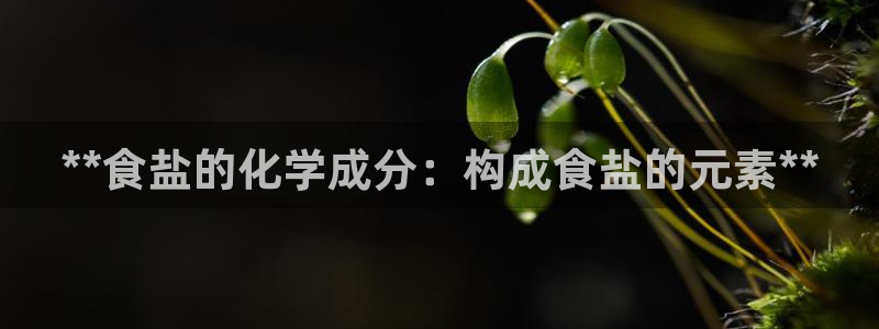 保定威九网络科技有限公司怎么样