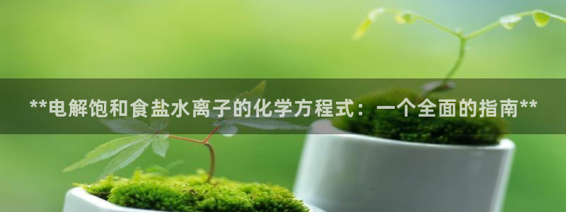 威九国际后爸