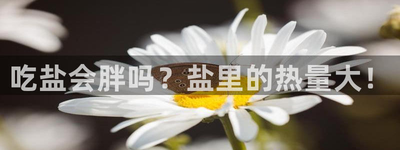 威九国际78M.APP