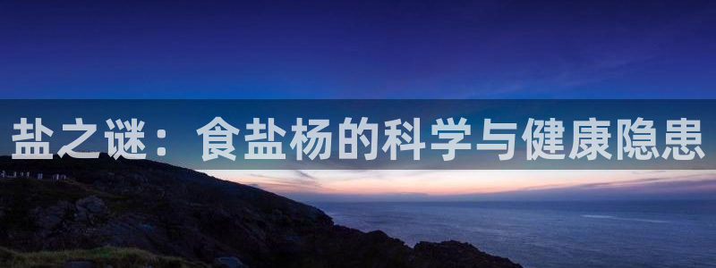 威九国际ppt免费下载网址