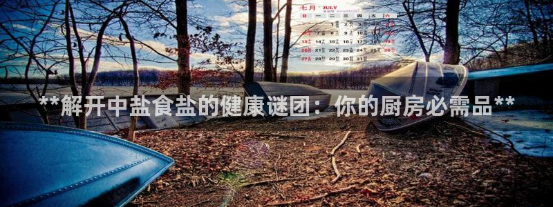 威九国际ppt官网