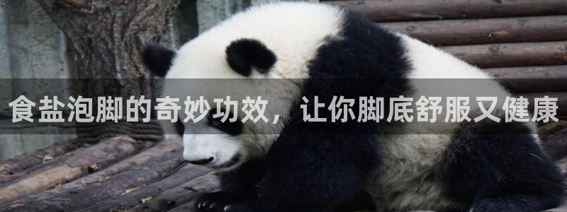 威九国际清砖码头怎么样