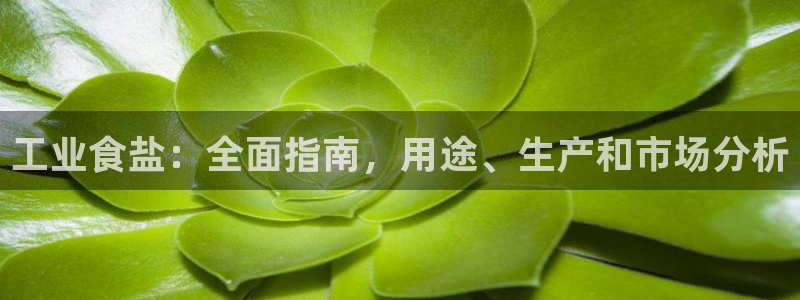 威九国际理论片最经典十首歌曲