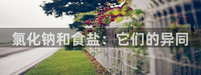 威九国际网站更新了吗