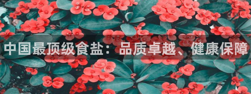 威九国际网站入口官网首页下载
