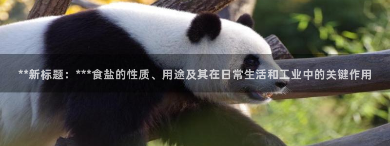 威九国际下载
