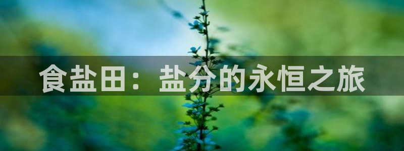 威九国际官网在线进入网站查询网址
