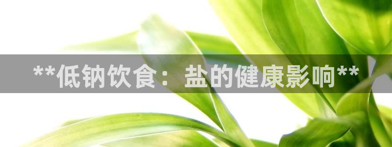 威九国际黄威尼斯