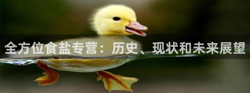威九国际在线平台怎么样啊