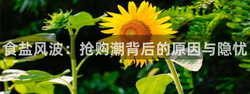 威九国际能提现吗安全吗