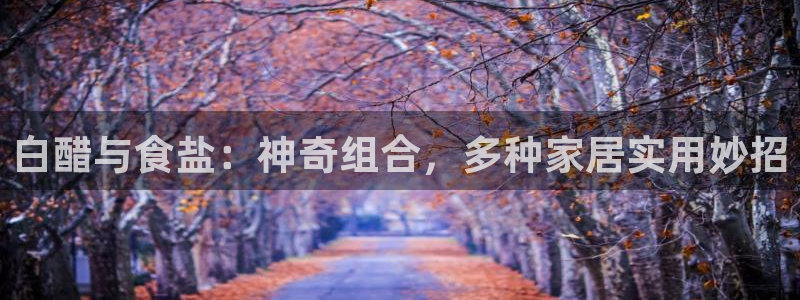 威九国际精免费下载