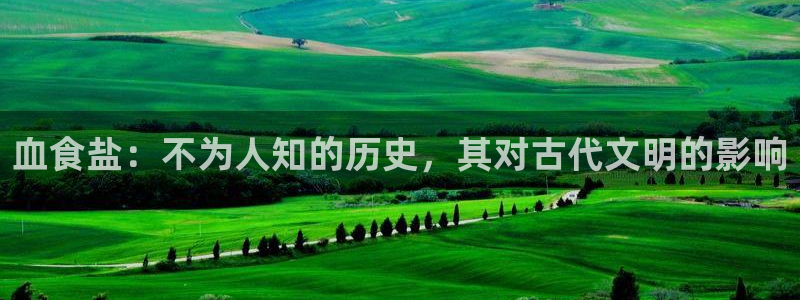 威九国际黄威尼斯