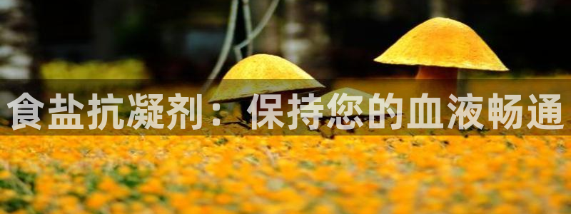 威九国际网站链接怎么打开