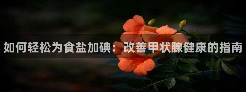 保定威九网络科技有限公司招聘