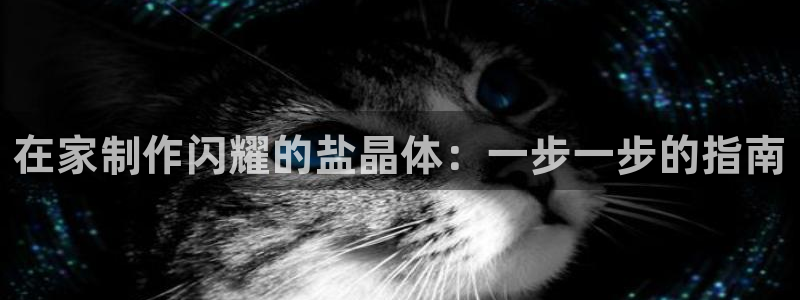 威九国际精