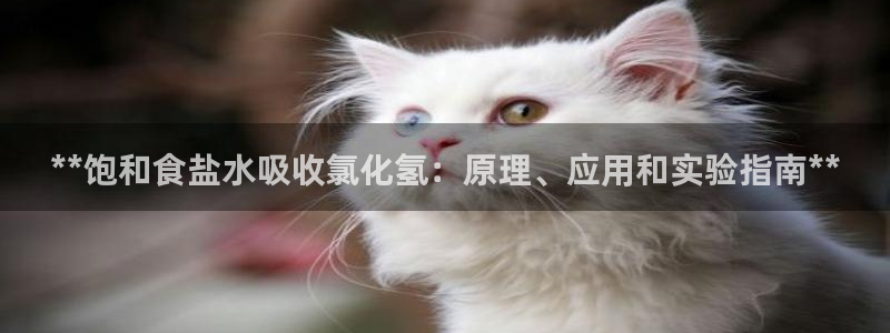 威九国际mb