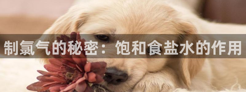 威九国际摩托电影HD