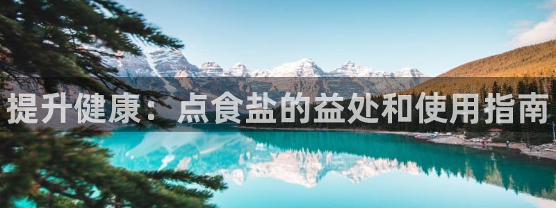 威九国际在哪里