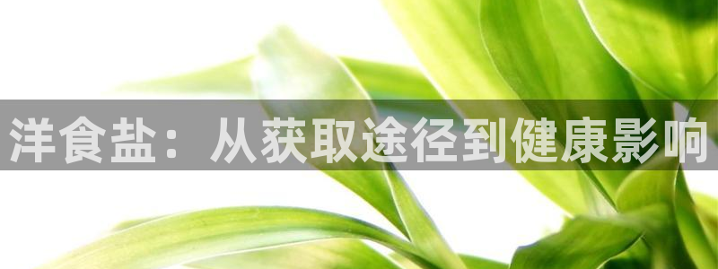 威九国际官网版
