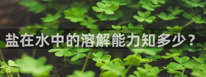 威九国际v18