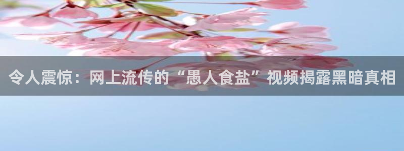 威九国际清砖码头怎么样